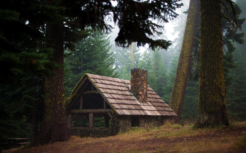 走进森林看见小木屋的心理测试